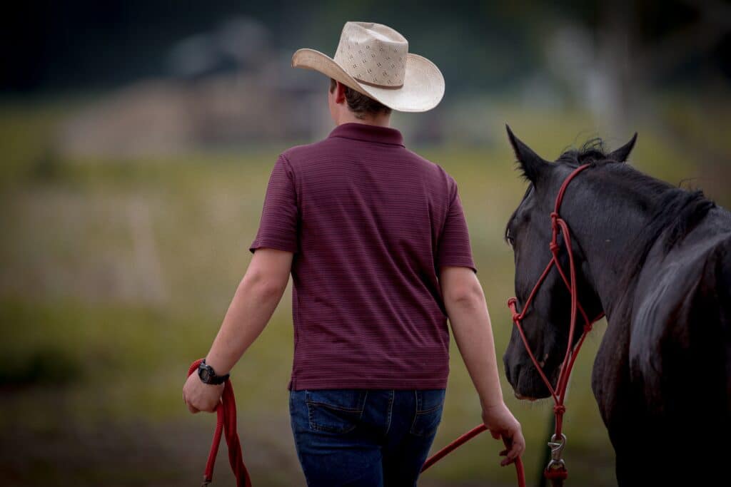 man in red shirt and white hat walking next to and guiding black horse in equine therapy, which is a type of holistic therapy for alcoholism